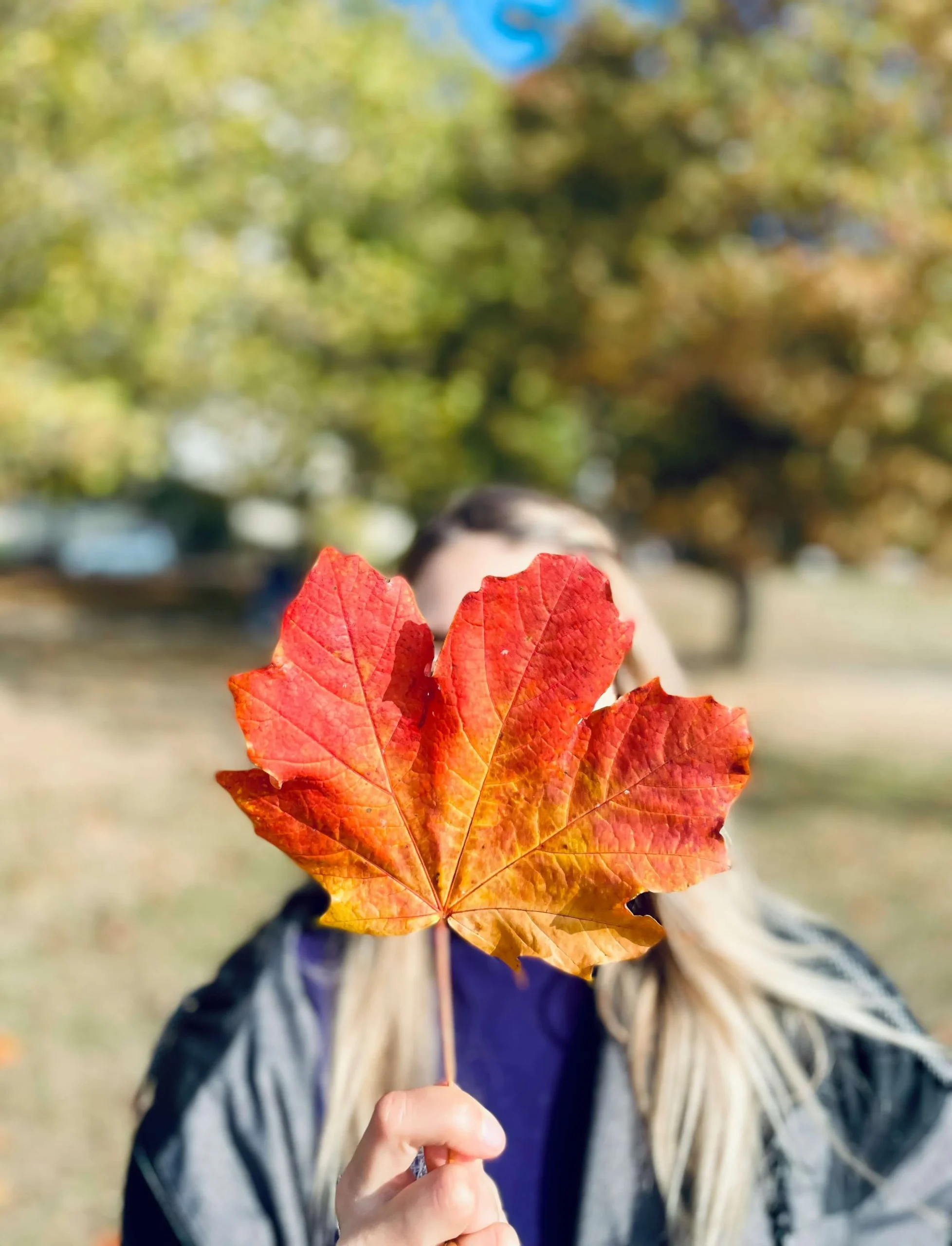 anna-sushok-unsplash-scaled